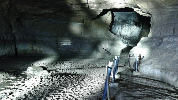 The Caverns of Quiocta