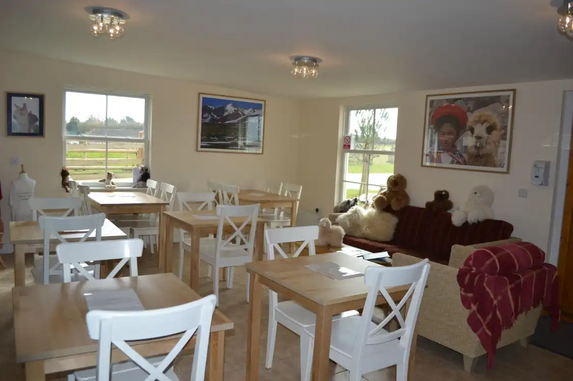 Hotels near West Wight Alpacas & Llamas