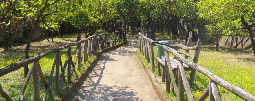I Giardini di Cataldo