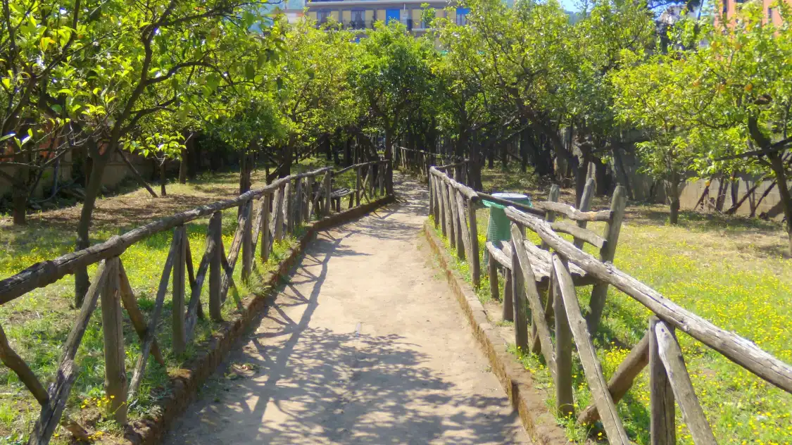 Hotel in zona I Giardini di Cataldo