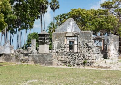 Neduntheevu (Delft Island)