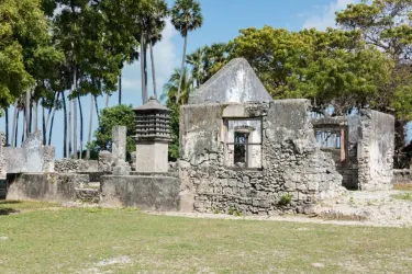 Neduntheevu (Delft Island)