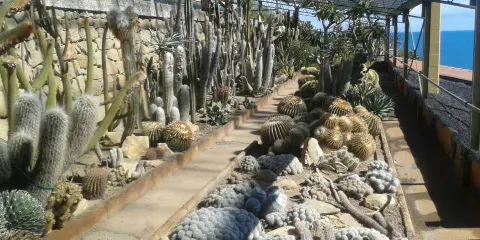 Giardino Esotico Pallanca