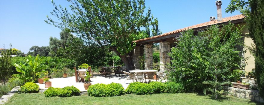 Urlice Vineyards