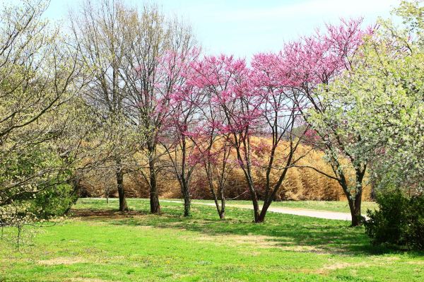 Knoxville Botanical Garden and Arboretum