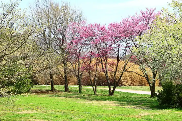Hotels in der Nähe von Knoxville Botanical Garden