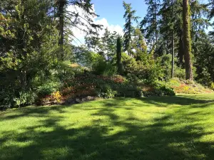 Gyro Park