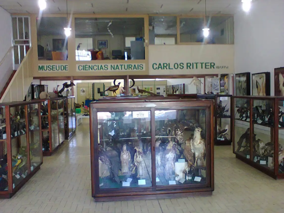 Hotels near Carlos Ritter Natural Science Museum