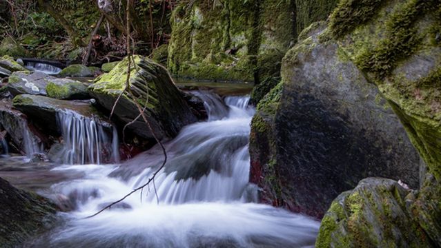 The Brook Waimarama Sanctuary