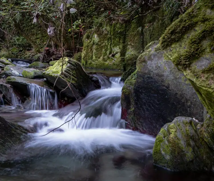 Hotel dekat Brook Waimarama Sanctuary