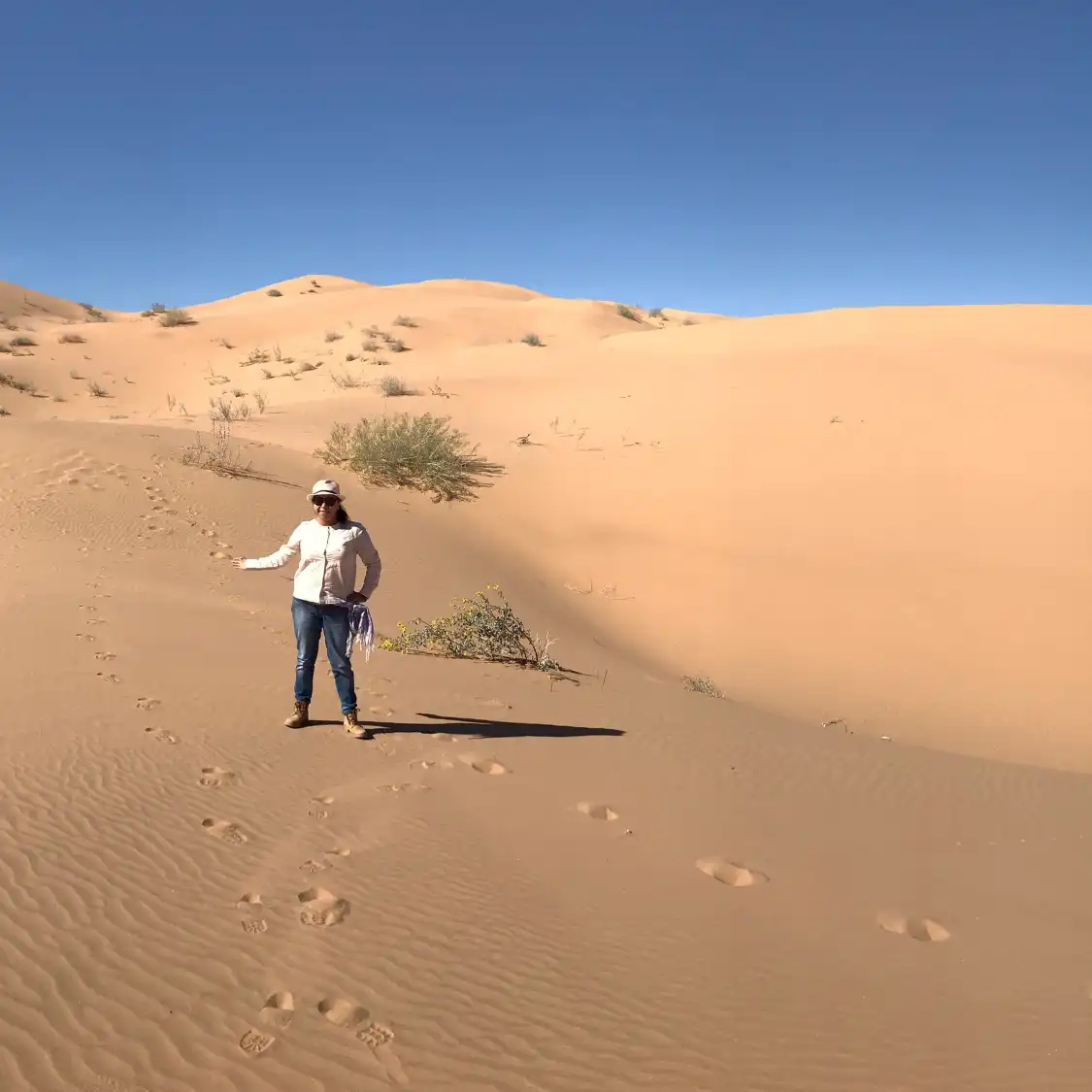 Hotels near El Pinacate y Gran Desierto de Altar Biosphere Reserve