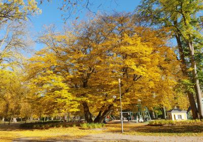 Linnéparken