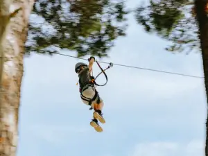 Upzone Adventureforest Ängelholm