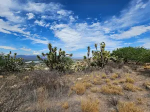 Zona Arqueologica de Pahnu
