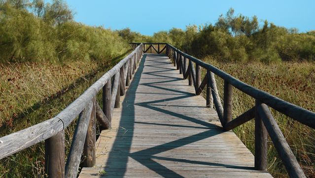 Centro de Interpretacion de la Naturaleza y El Litoral El Camaleon