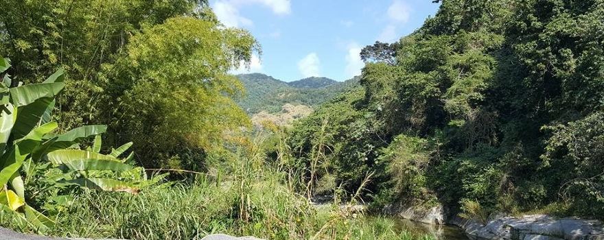 La Piedra Escrita