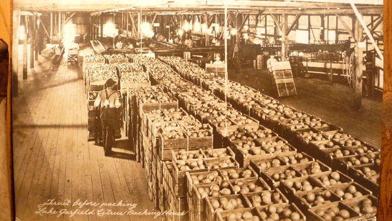 Indian River Citrus Museum