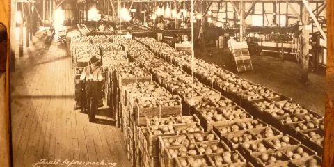 Indian River Citrus Museum