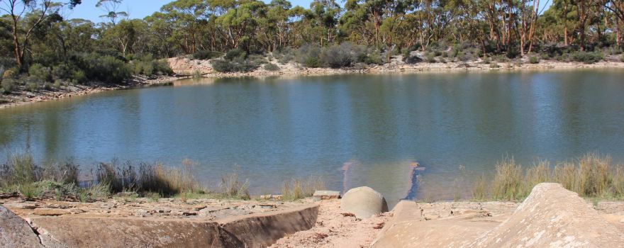 Bromus Dam Campground