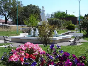 Placita Honda