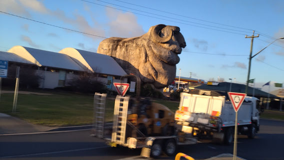 The Rail Motor Society