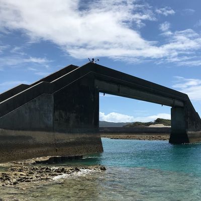 Seal Gachi Bridge