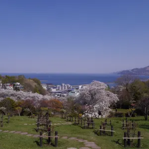 手宮公園