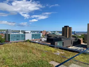 Bibliothèque centrale d'Halifax