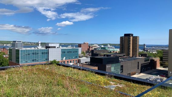 Halifax Central Library