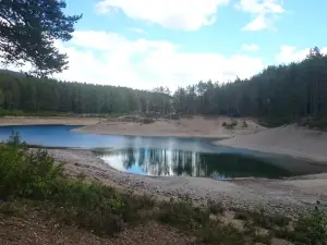 Grontjarn naturreserve
