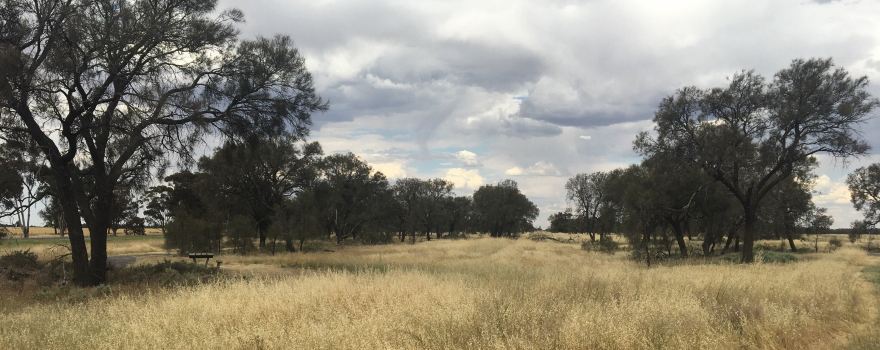 Minyip Bushland Reserve