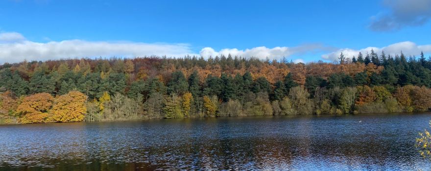 Fewston Reservoir