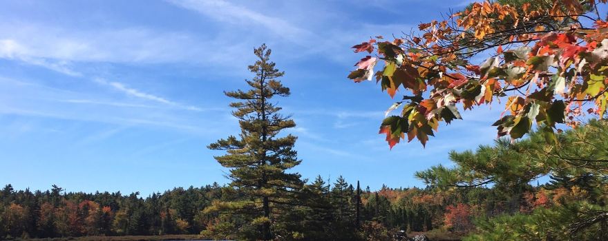 Porters Lake