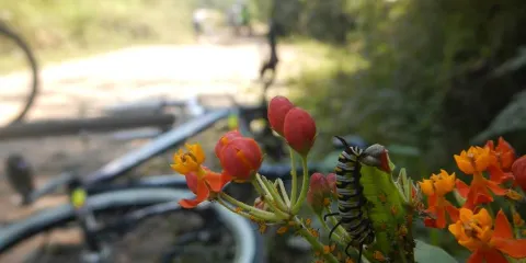 Parque Natural Municipal do Trabiju