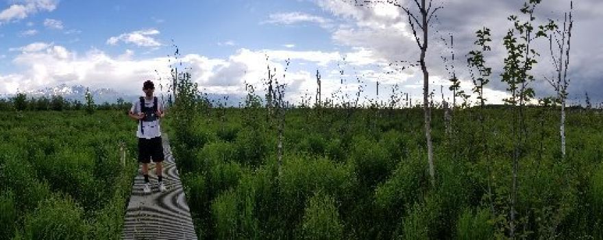 Wasilla Creek Boardwalk Trail