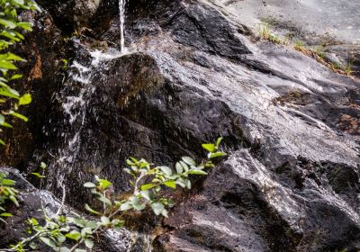 Dossen Glacier Garden