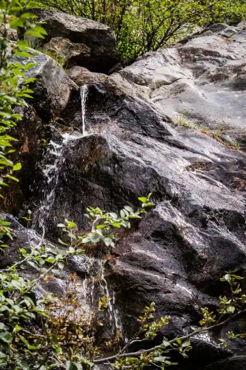 Hotels near Dossen Glacier Garden