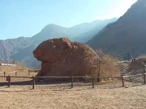 El Sapo