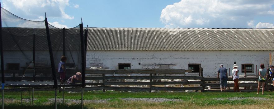 Tetiivs'kyi district