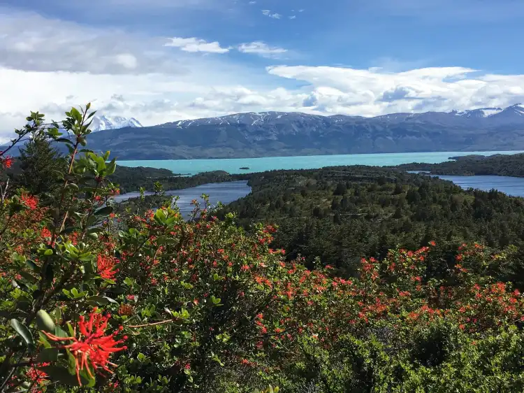 Hotels near Lago Del Toro