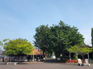Grand Maerakaca