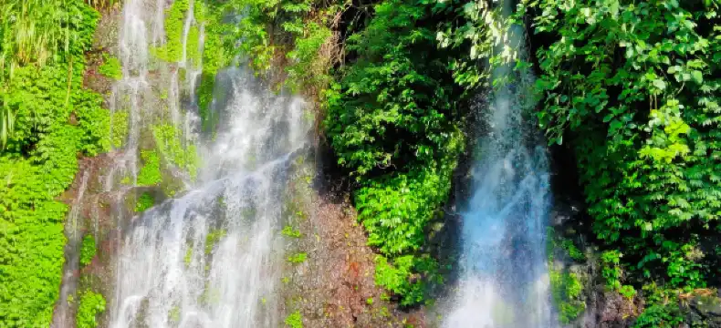 鄰近Bromo Ijen Tour Agency Indonesia的酒店