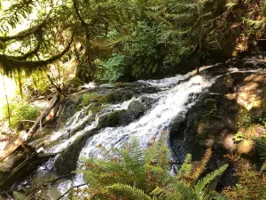 Ludlow Falls Interpretive Trail
