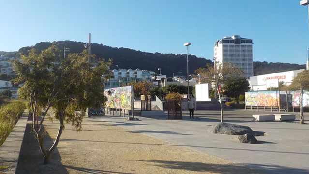 Waitangi Park