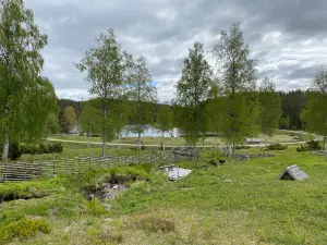 Gudmundstjärn