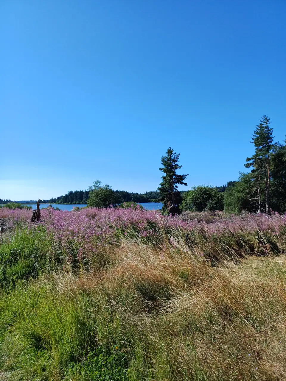 4_Lac de Devesset
