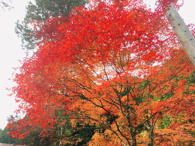 Yumori Park