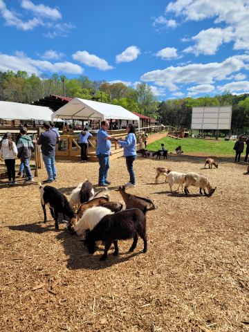 Spring Haven Farm LLC
