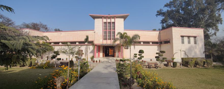 Harappa Old City