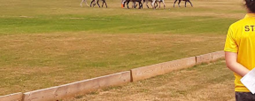 Boston Polo Club